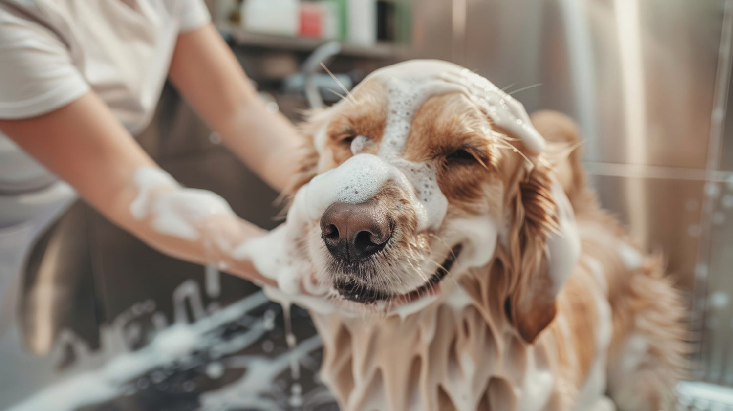 Grooming Supplies