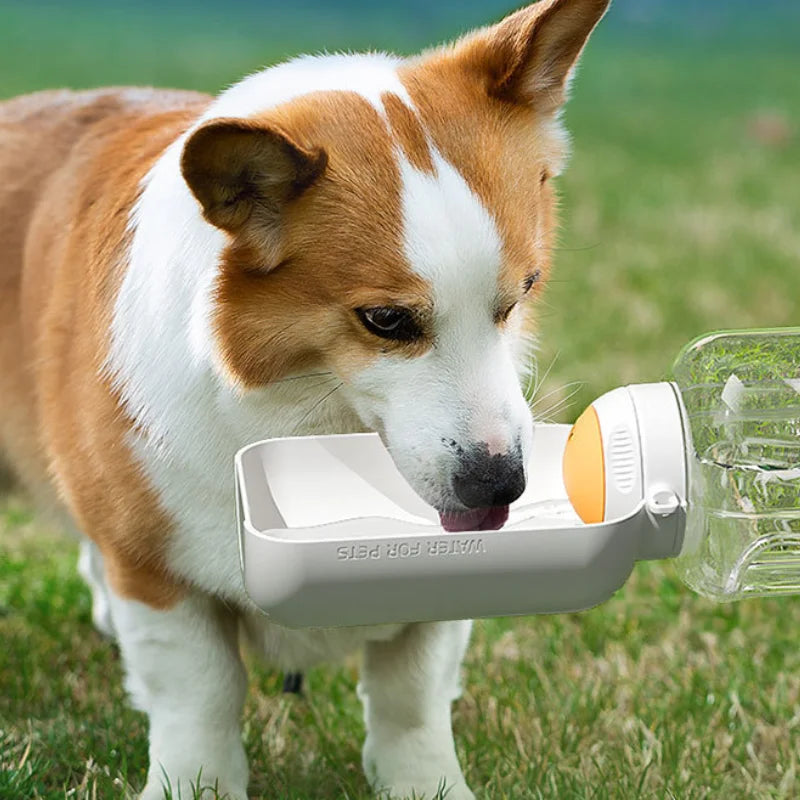 Cats and dogs go out drinking water feeding kettle Large capacity water and food integrated pet supplies