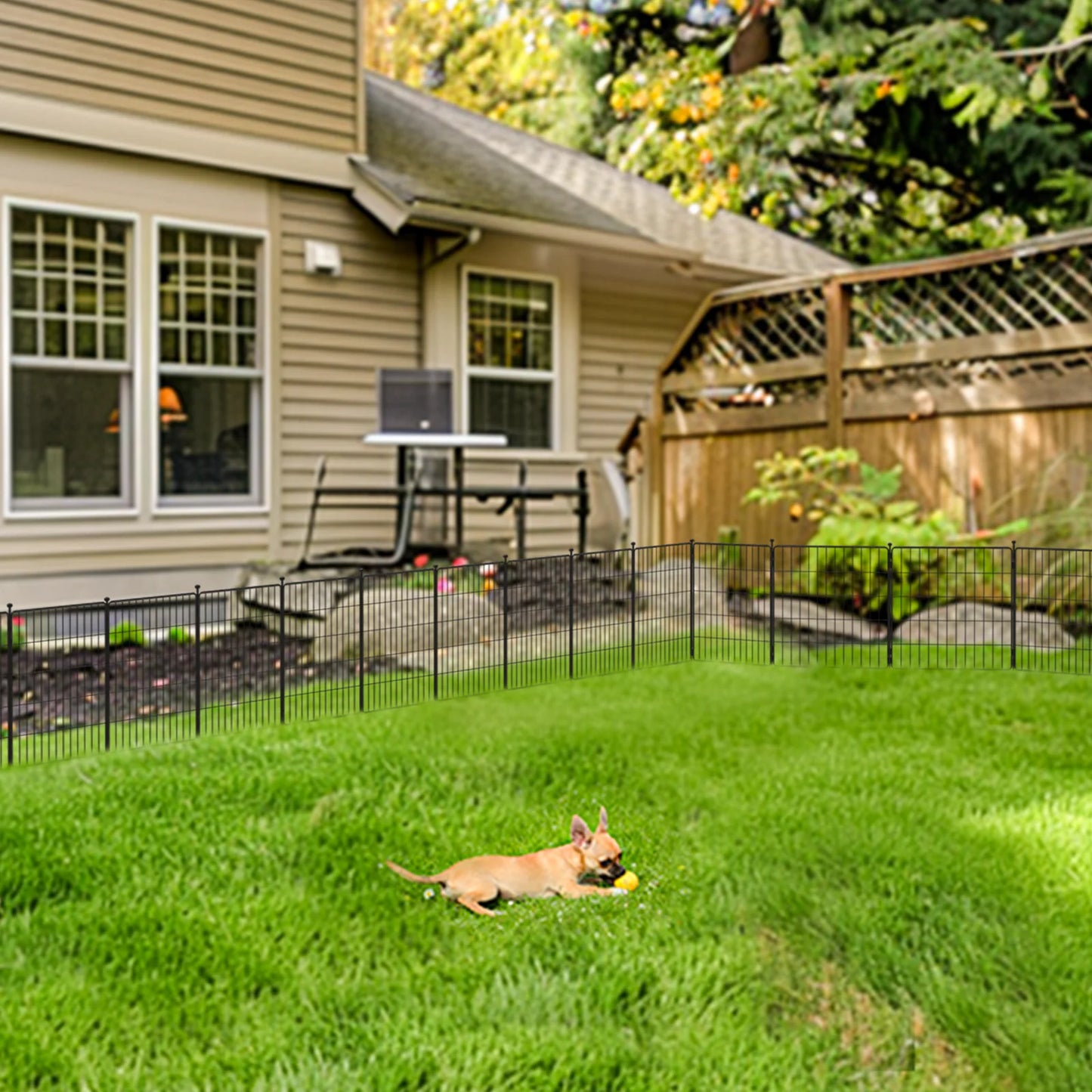 FXW MiniPaws Dog Playpen Designed for Puppies/Small Dogs, Expandable Dog Pen for Indoor/Outdoor Use