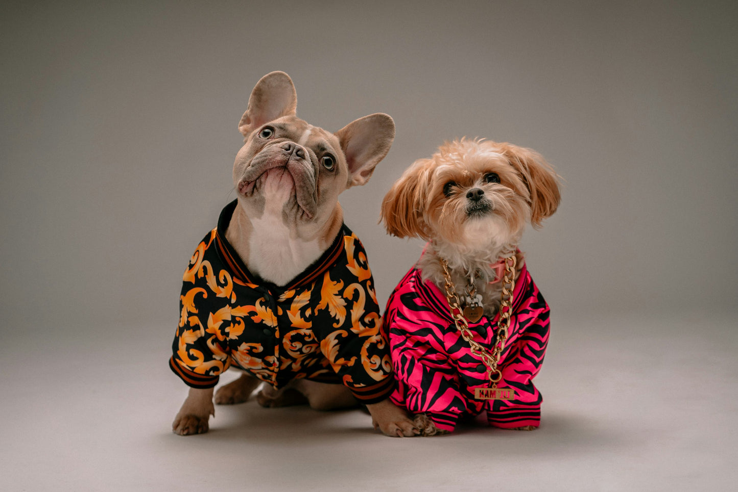 Pet Apparel